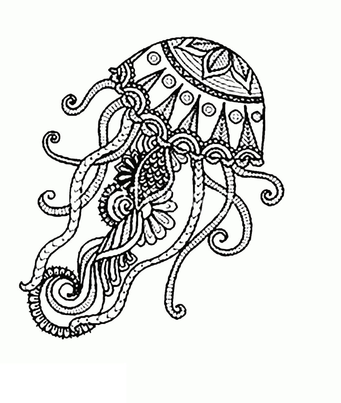 Medusa Adulta
