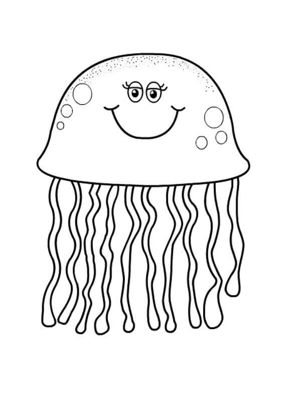 Medusa Gorda