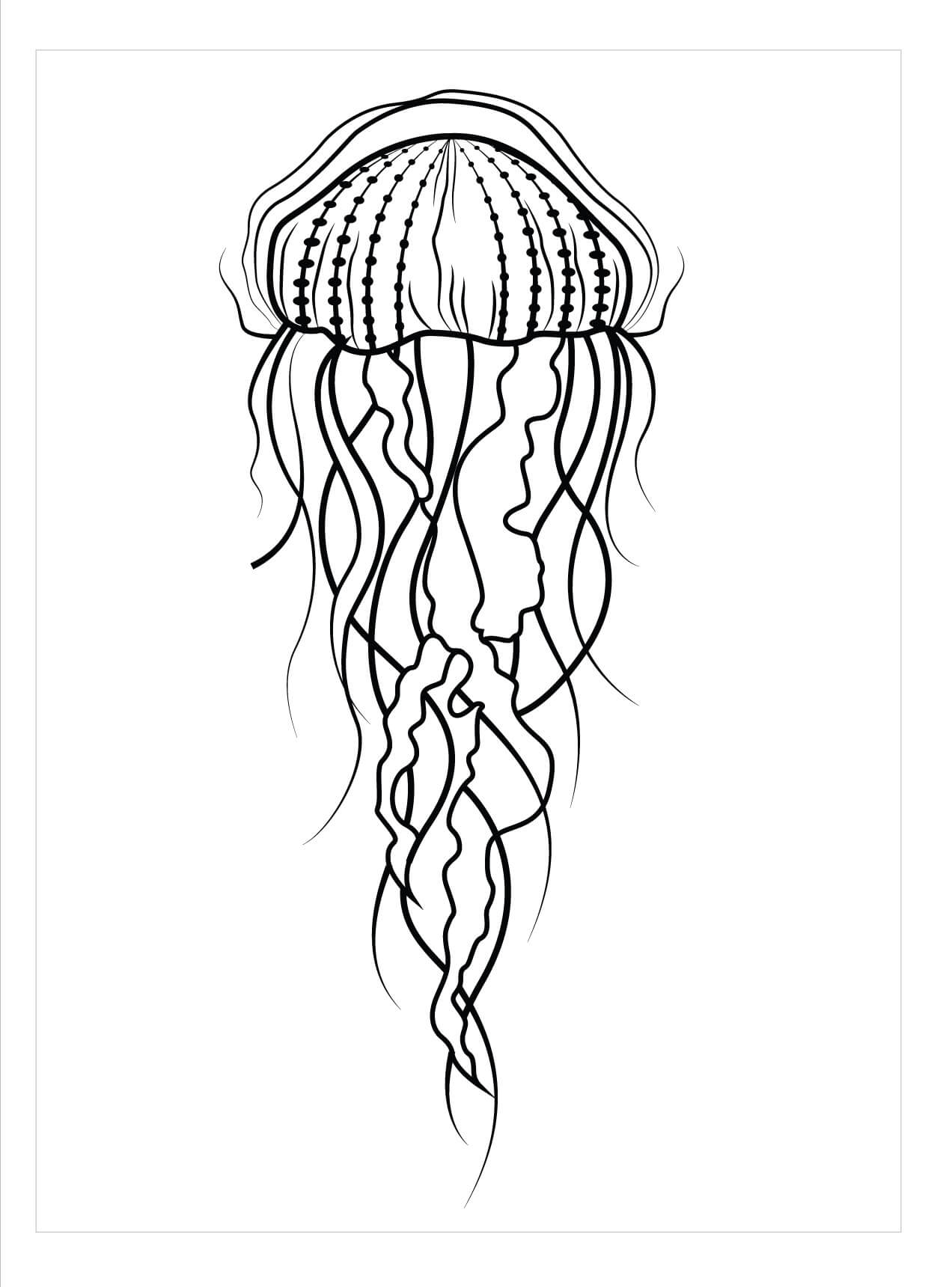 Medusa Luna