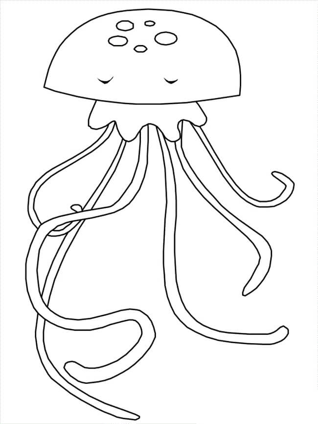 Medusa Normal