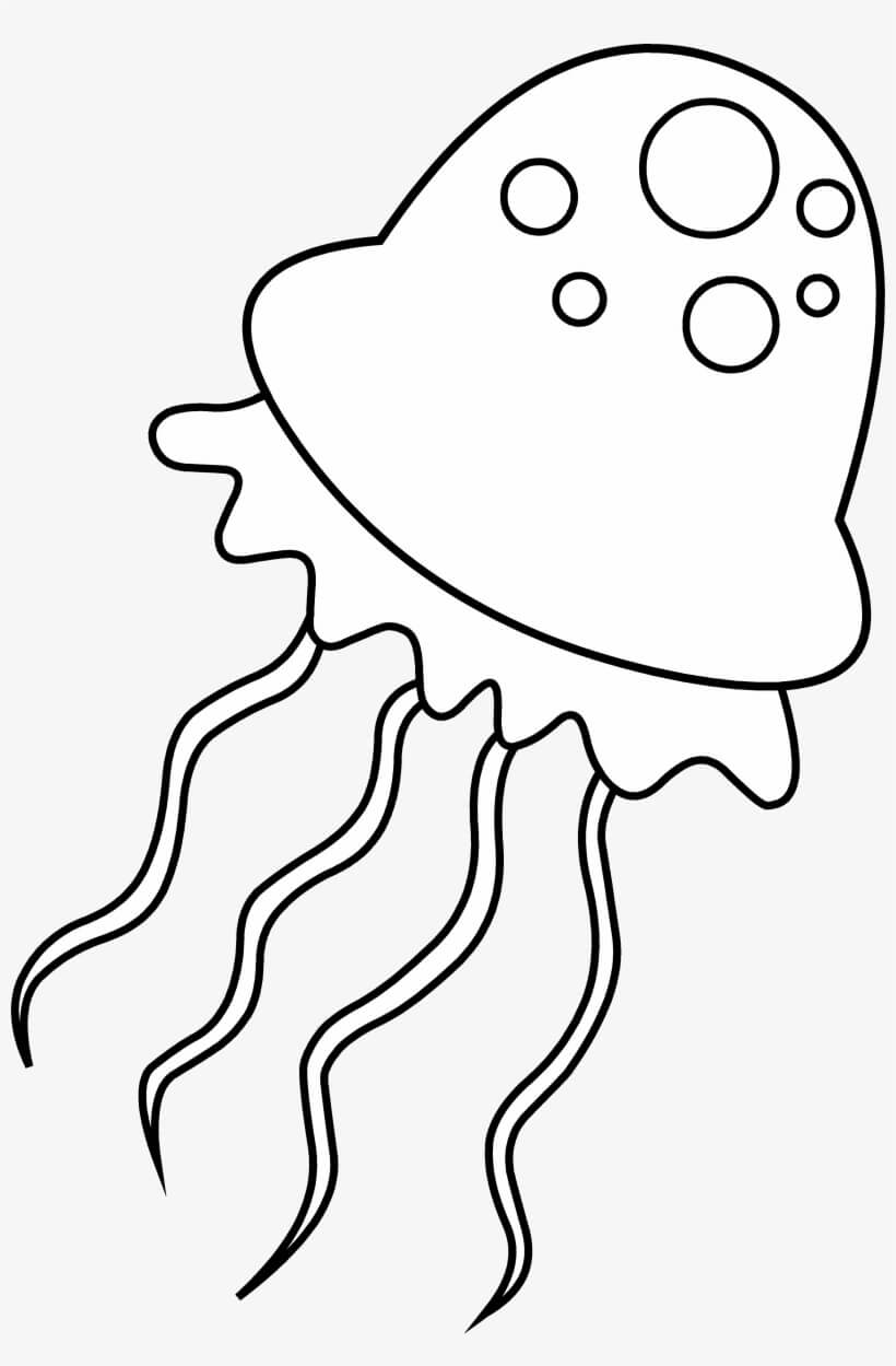 Medusas Asombrosas