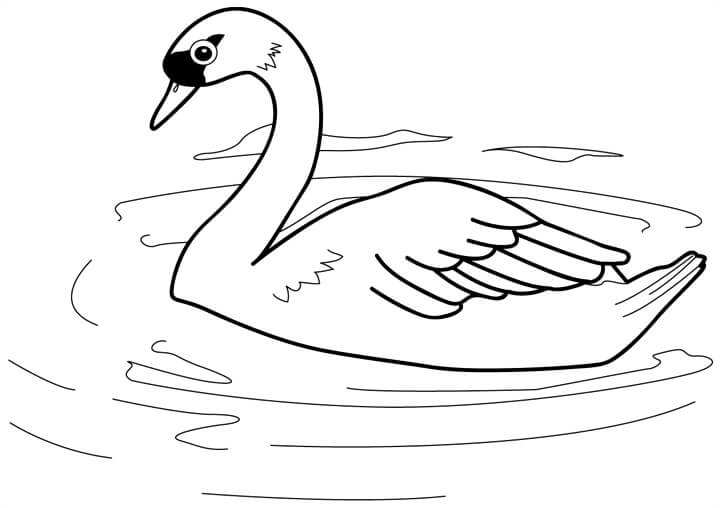 Natación Básica del Ganso