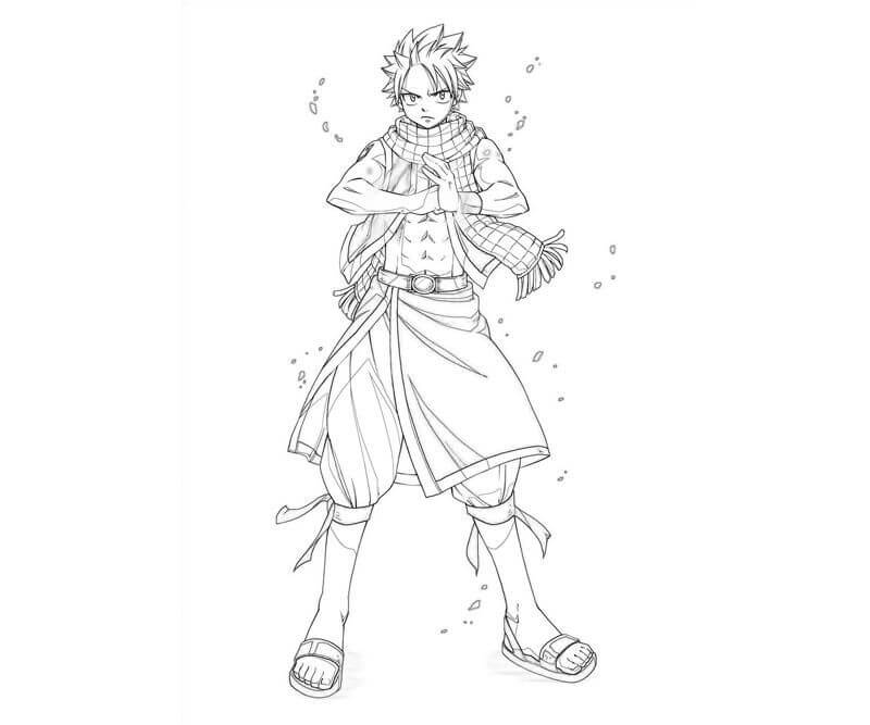 Natsu De Cola De Hadas