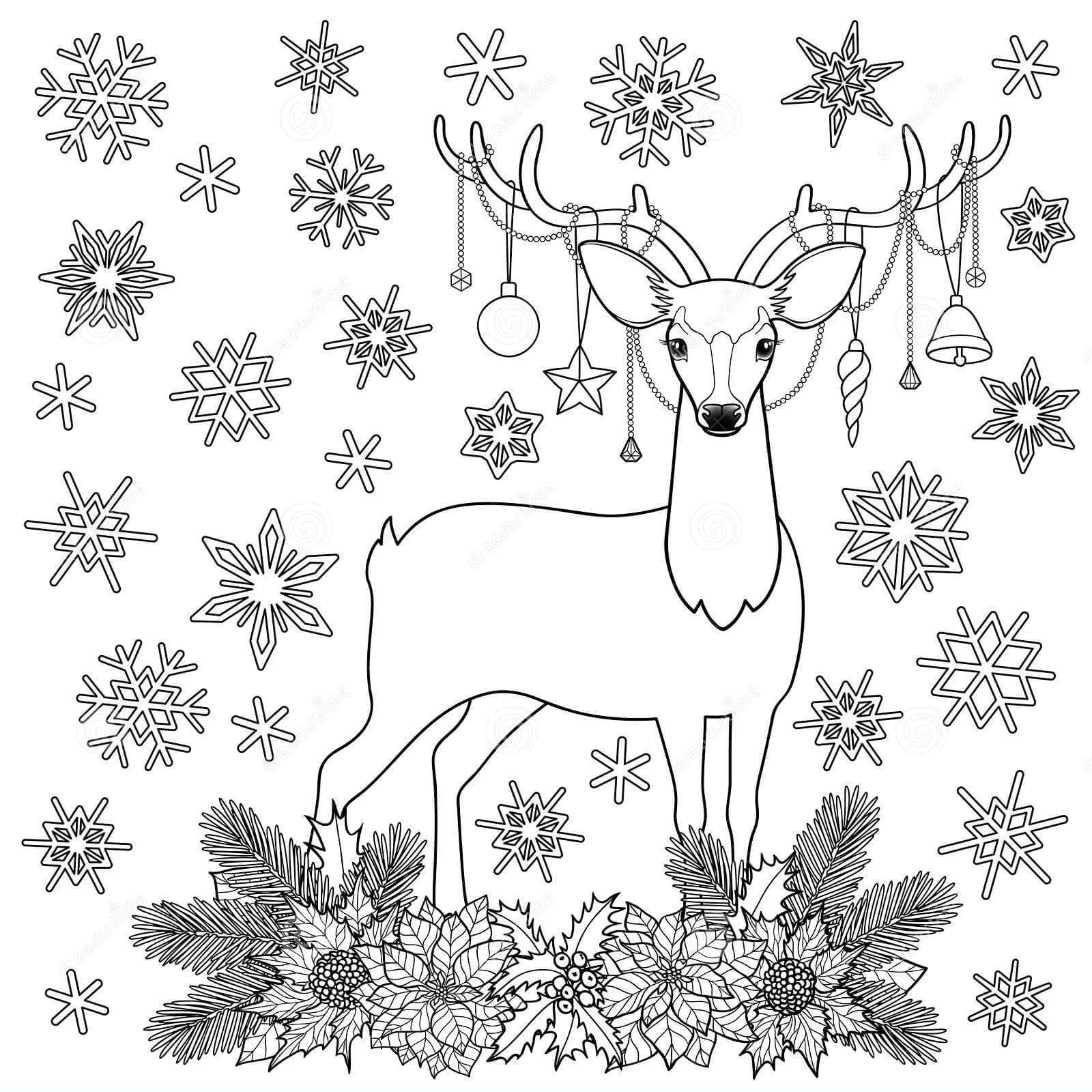 Navidad Ciervos Vacaciones de Invierno