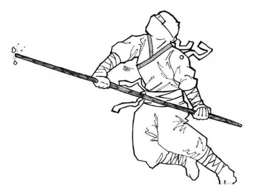 Ninja Japonés