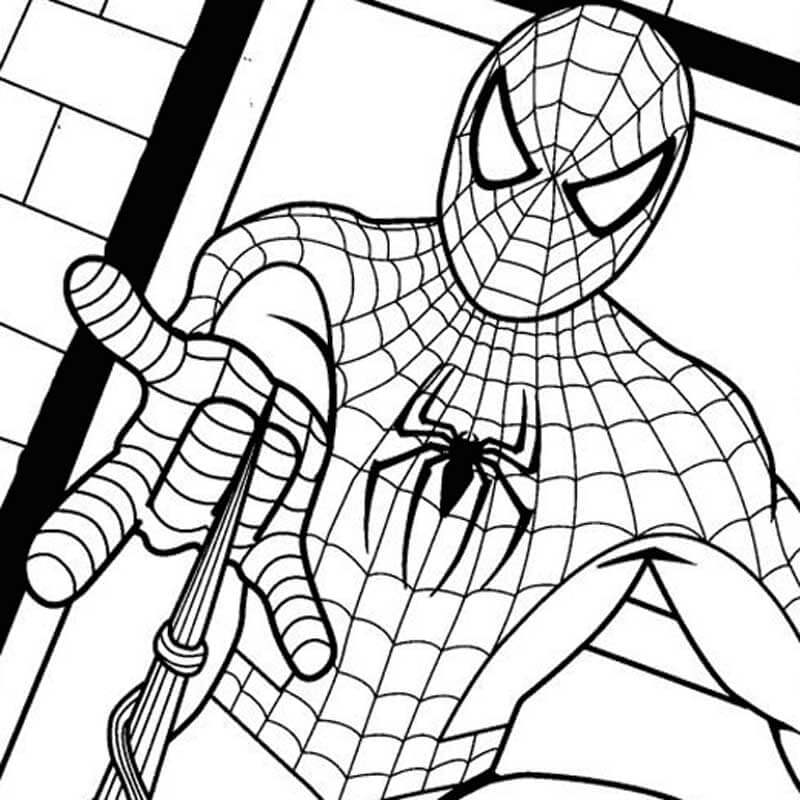 Niño Hombre Araña