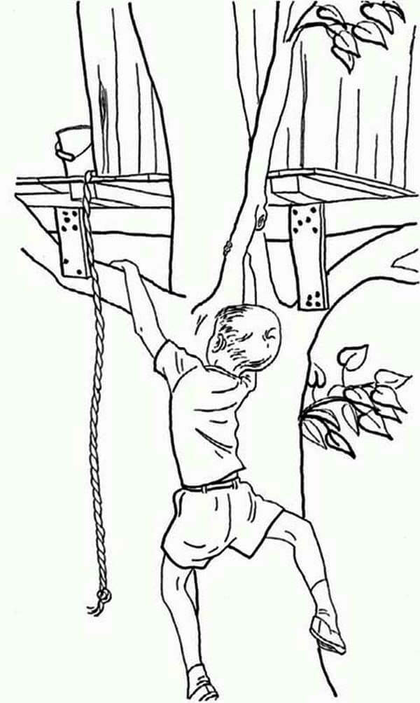 Niño Pequeño Escalada de árboles