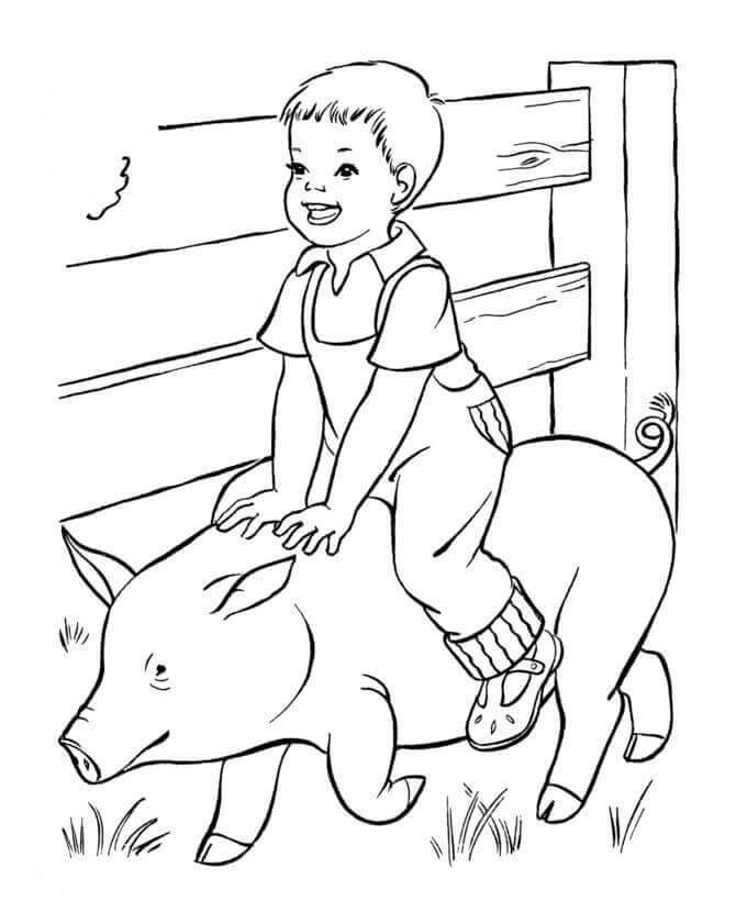 Niño Sentado en el Cerdo en la Granja