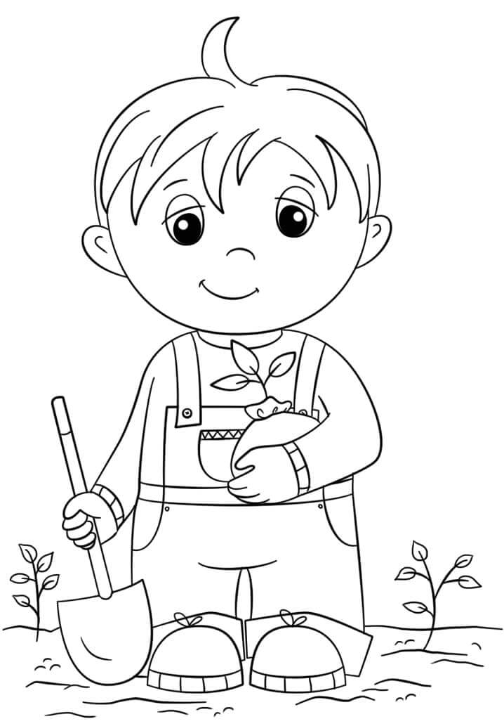 Niño, Tenencia, Plántula