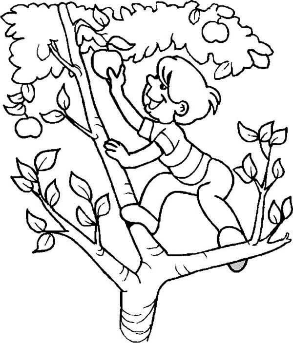 Escalada