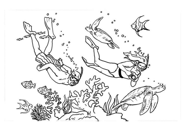 Niño y Niña Buceando con Animales Marinos