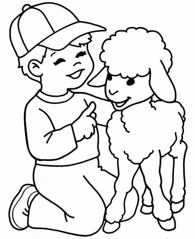 Niño y Oveja