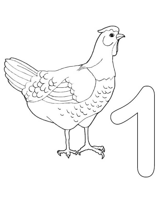 Número 1 y Pollo