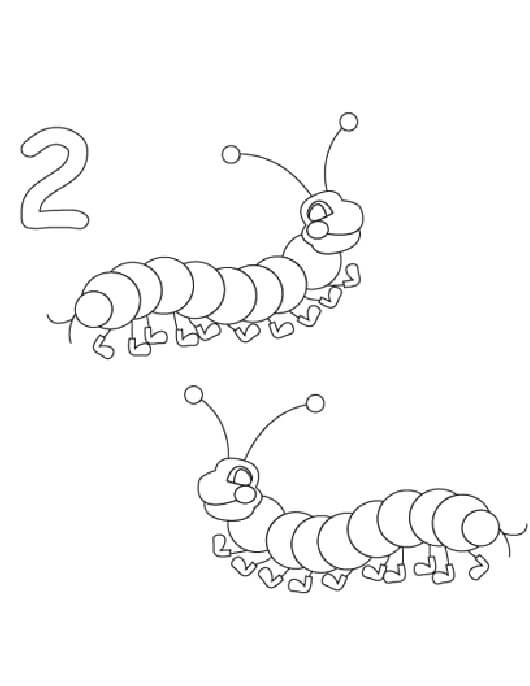 Número 2 y dos Gusanos