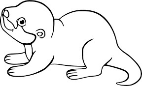 Nutria Bebé