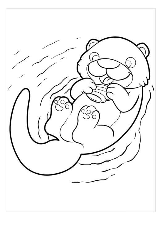 Nutria Linda
