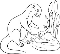 Nutria Madre y Bebé