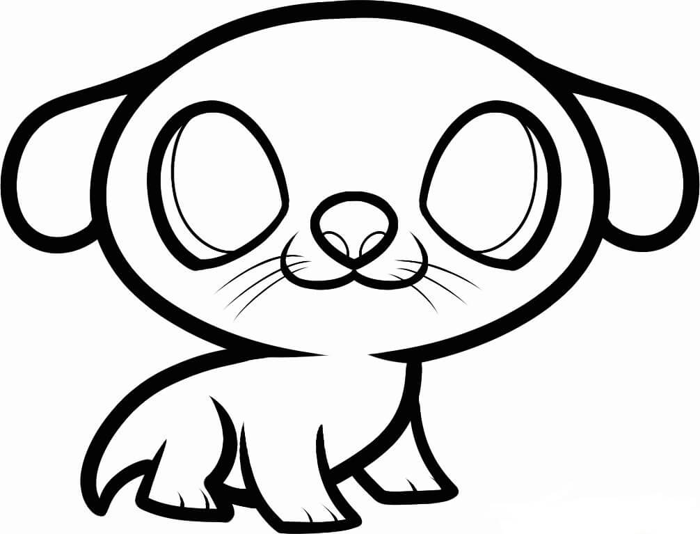 Nutria Simple