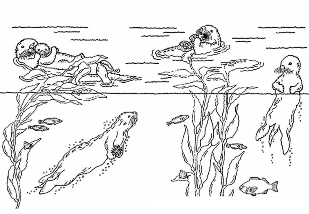 Nutrias y Animales Marinos