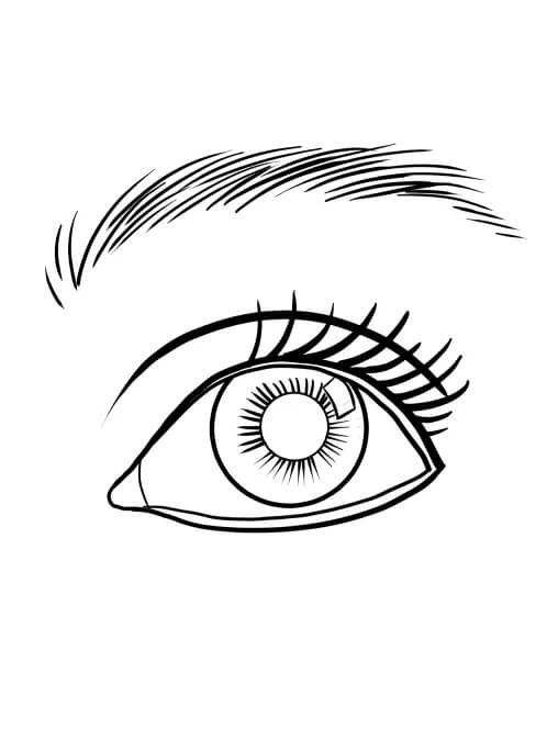 Ojo Sencillo
