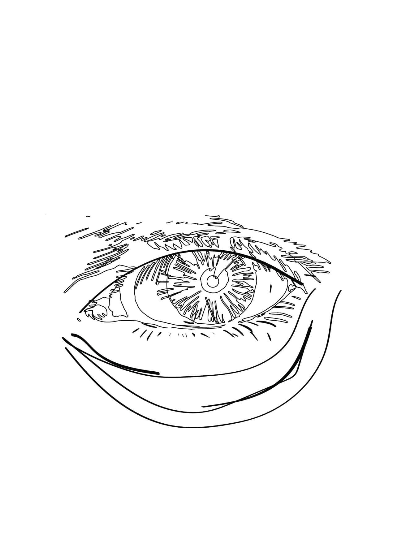 Ojo de Anciano