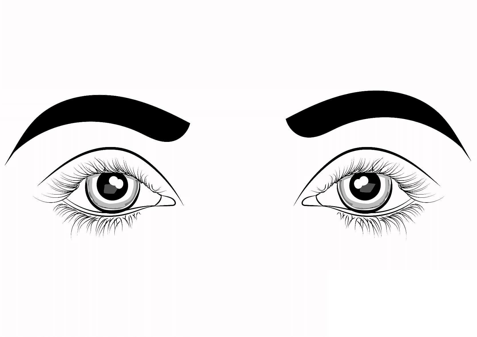 Ojos Básicos