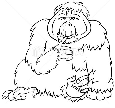 Orangután de Sumatra
