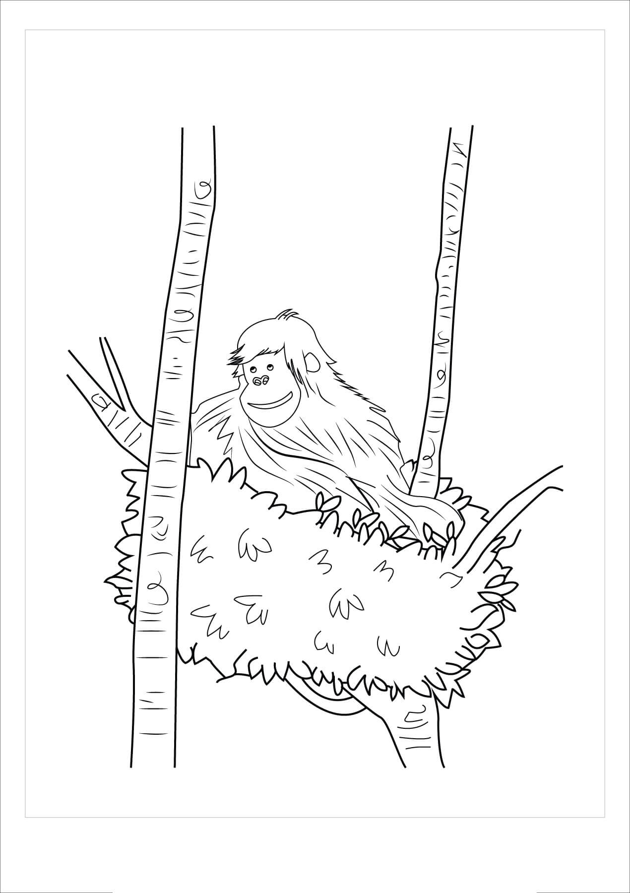 Orangután en rama de Árbol
