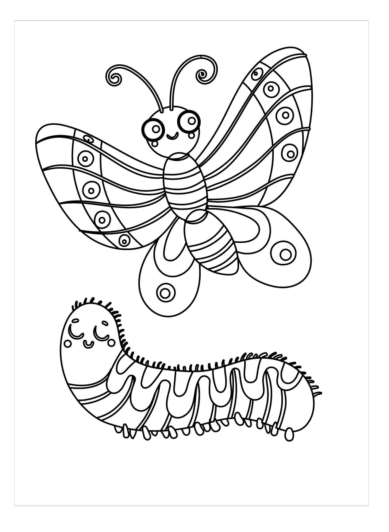 Oruga y Mariposa