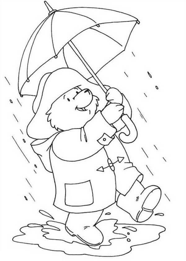 Oso Bajo la Lluvia
