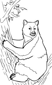 Oso negro Trepando al árbol