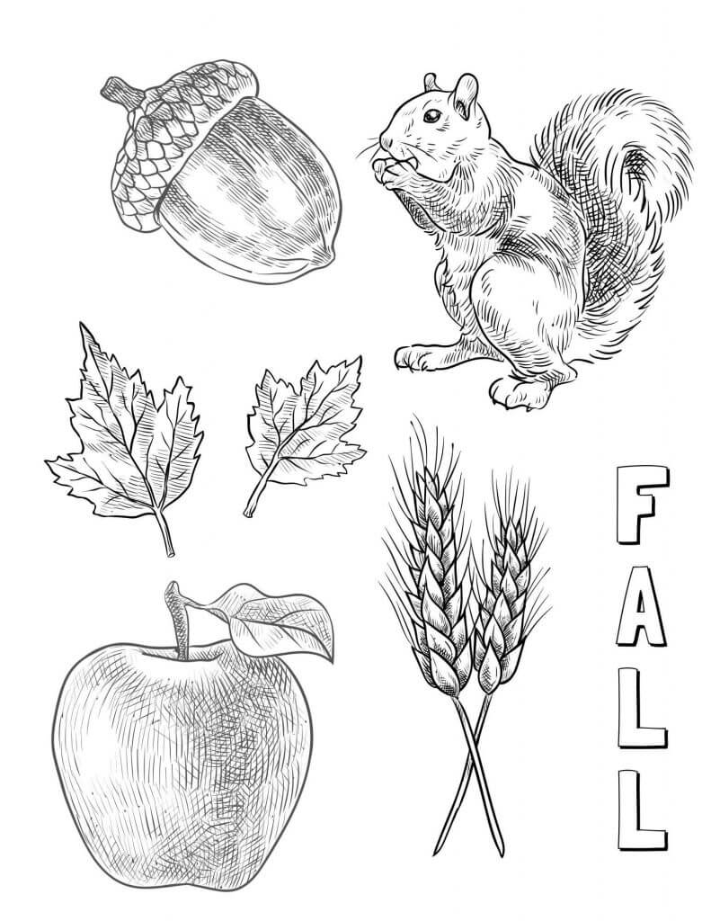 Otoño Libre