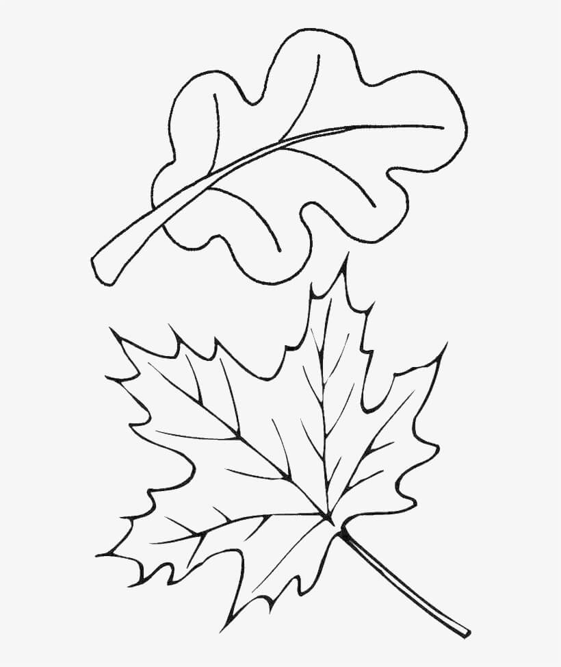 Otoño de dos Hojas