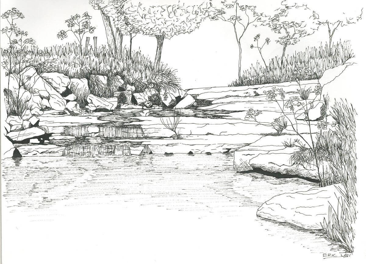 Paisaje Detallado