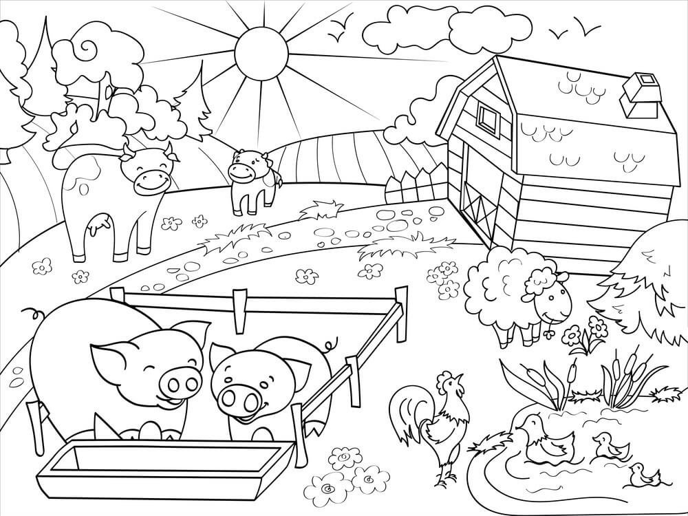 Paisaje Rural