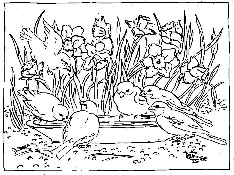 Paisaje de Primavera