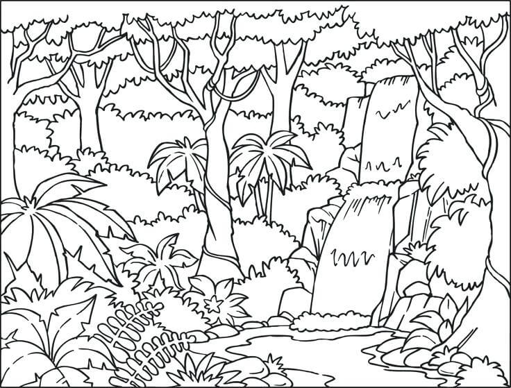 Paisaje de la selva