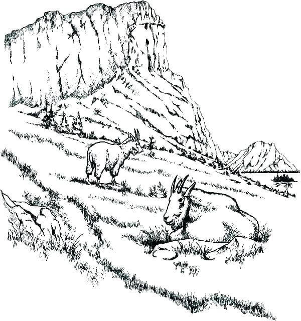 Paisaje de las Montañas