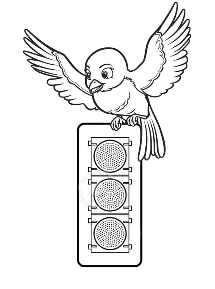 Pájaro en Semáforo