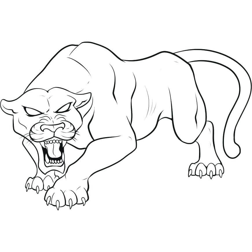 Pantera Enojado