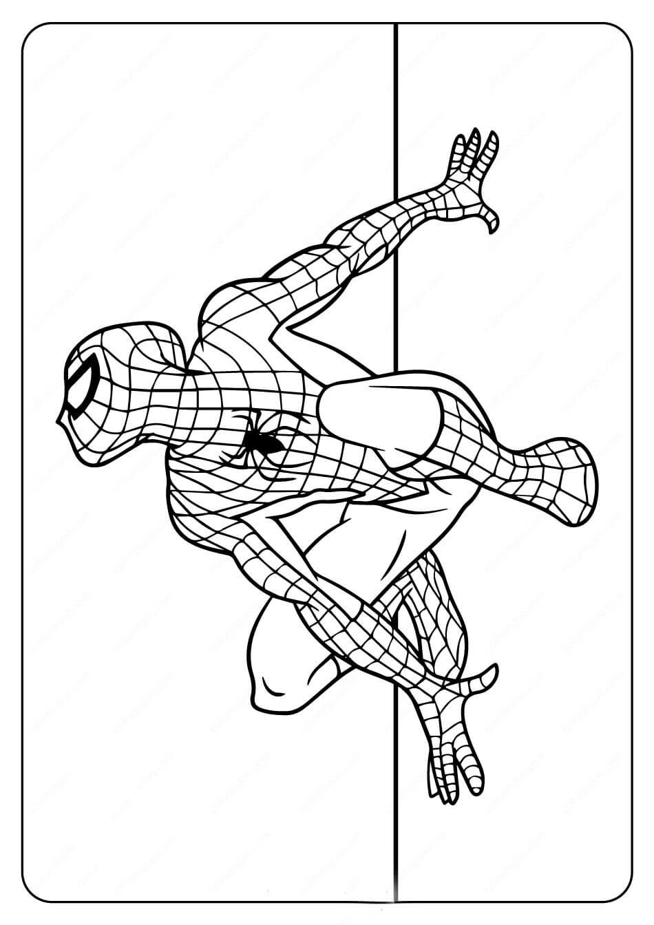 Pared de Escalada de Spiderman Genial