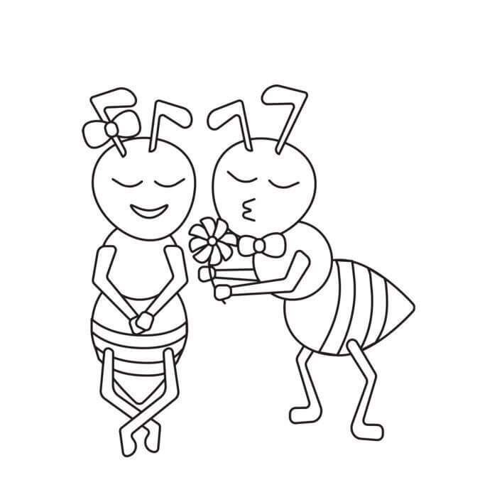 Pareja Abeja
