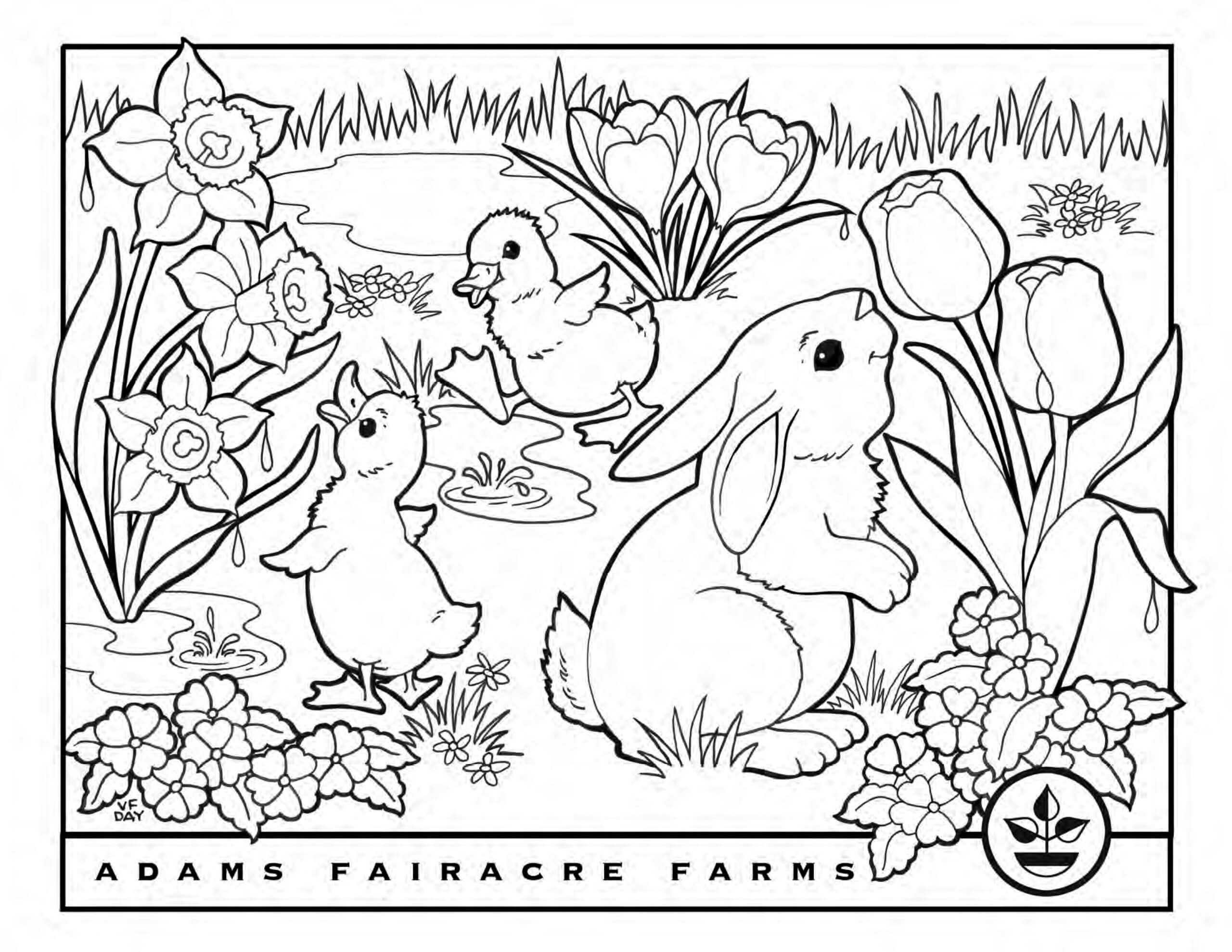 Pascua de dos Patos y Conejo