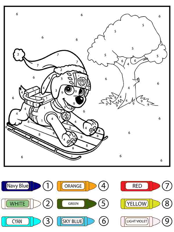 Patrulla Canina Zuma Patinaje Colorear por Número
