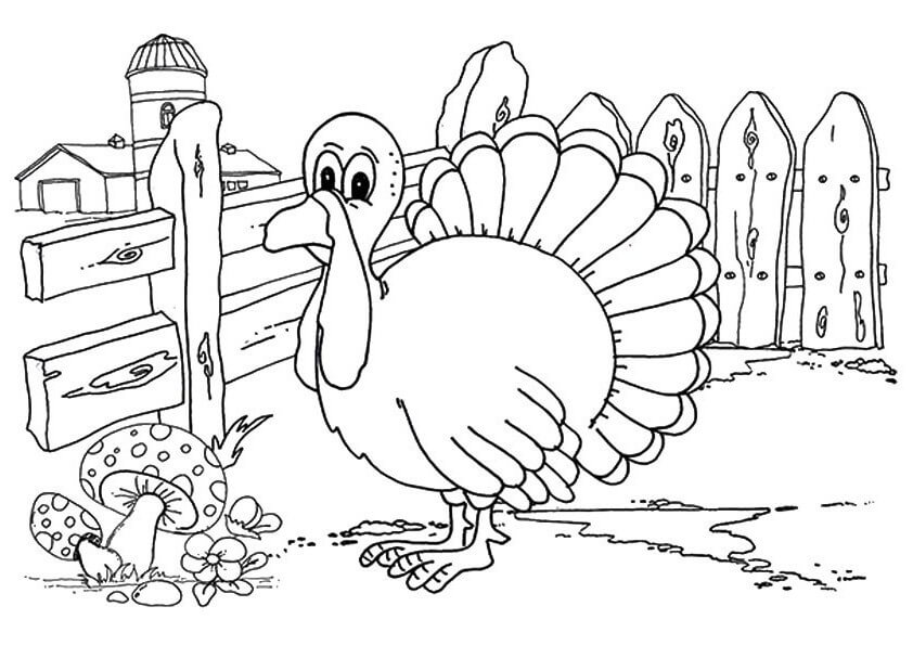 Pavo en la Granja