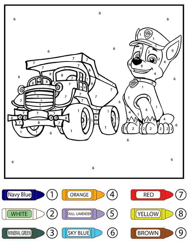 Paw Patrol Toy Car y Rocky Colorear by Number
