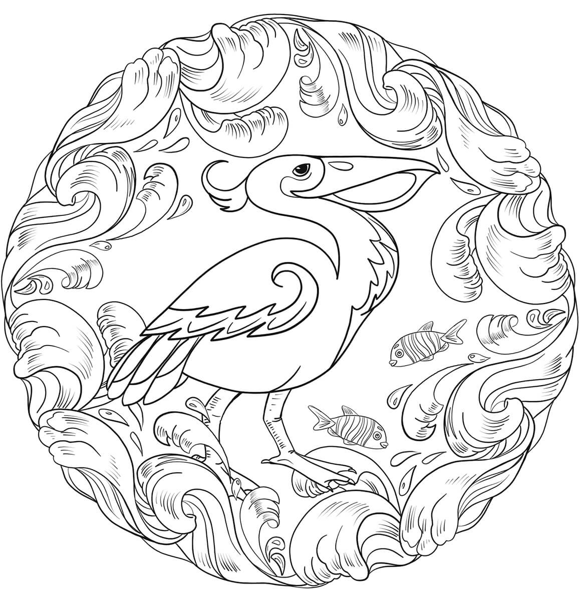 Pelican es para Adultos