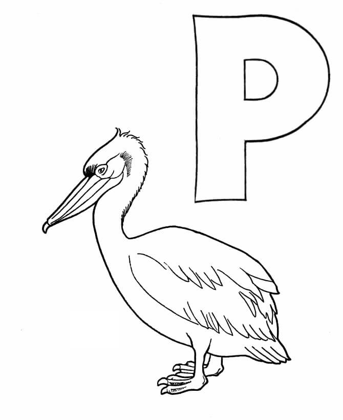 Pelican y Letra P