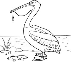 Pelícano y Dos Peces
