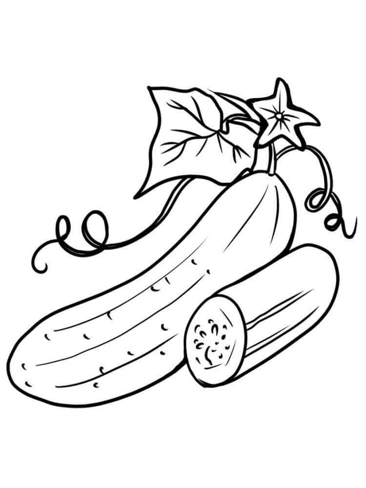 Pepino Básico